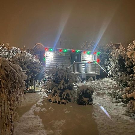 The Little John Petite Cosy Log Cabin - Sleeps 2, Great For Romantic Breaks, Couples, Single Guests, Near Sherwood Forest At Fairview Farm, Nottingham Set In 88 Acres Blidworth Εξωτερικό φωτογραφία